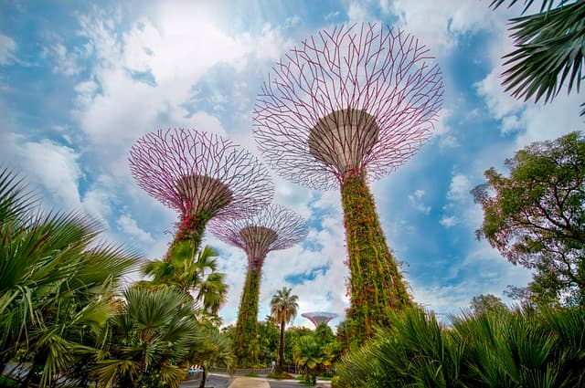 Gardens by the Bay, Singapore - Futuristic nature park with iconic supertrees - WOYAGER itinerary planner